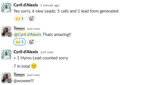 Paid search lead quality screenshot