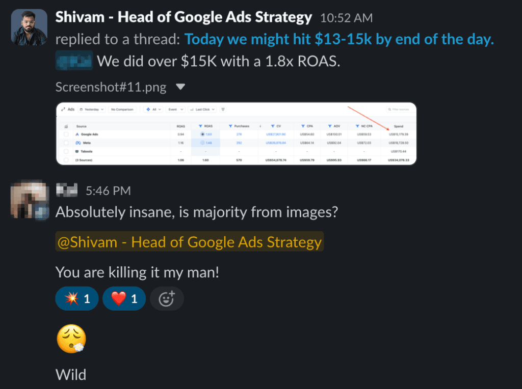 Revenue and ROAS performance screenshot